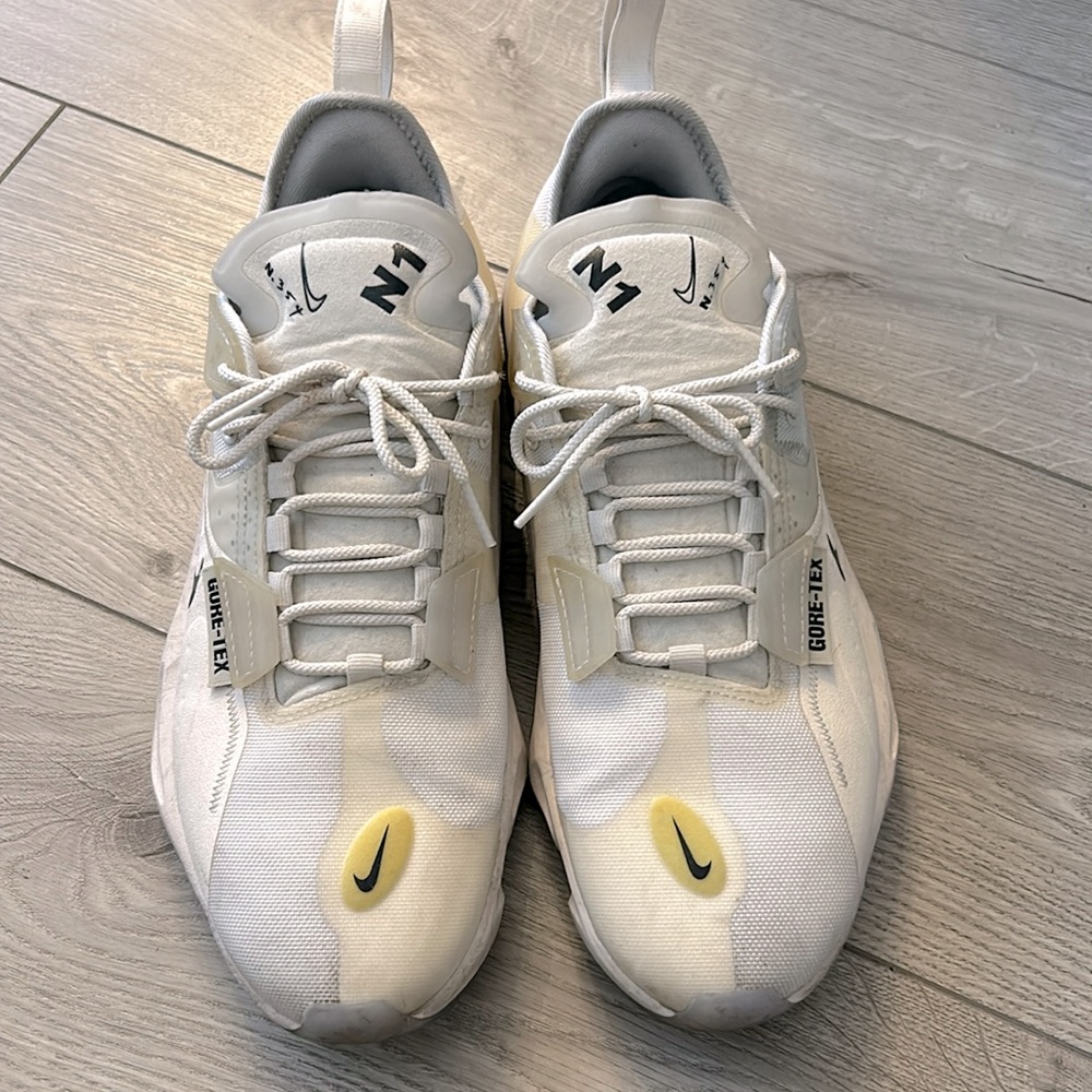 Nike Goretax Men shoes